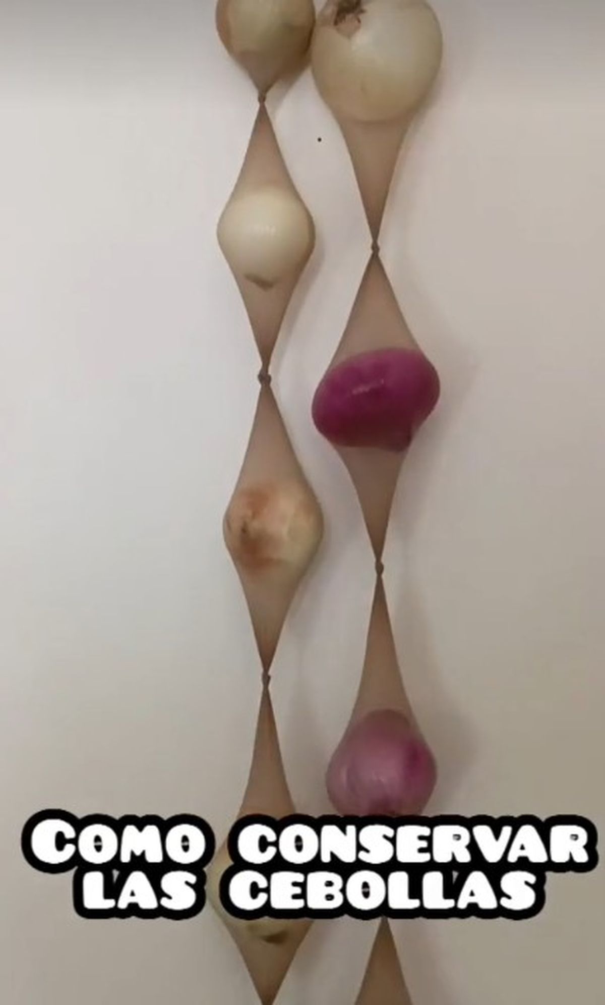 El truco viral de TikTok para conservar las cebollas por más tiempo. El truco viral de TikTok para conservar las cebollas por más tiempo.