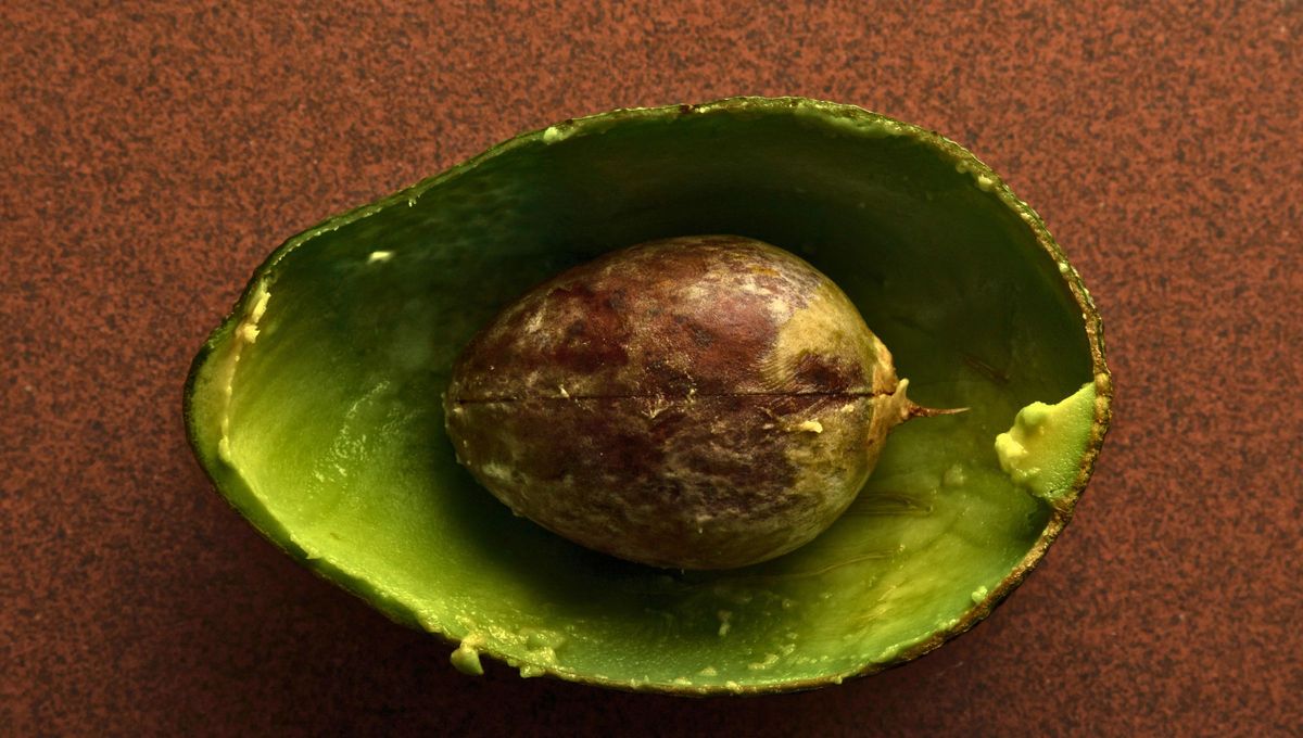 El afortunado que tenga una palta en casa, tiene un tesoro en su cáscara: por qué y para qué sirve