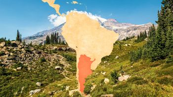 El segundo humedal más grande de Sudamérica se encuentra en Argentina: de cuál se trata