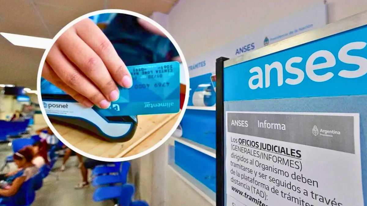 ANSES definió el valor de la Tarjeta Alimentar en diciembre: de cuánto será