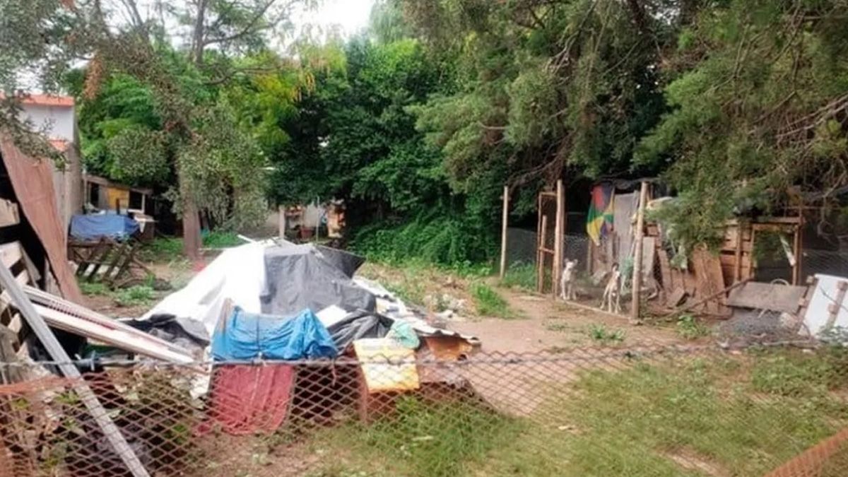 La mujer atacada en Alta Gracias por un Pitbull convive con unos 15 perros y la misma cantidad de gatos, de manera muy precaria