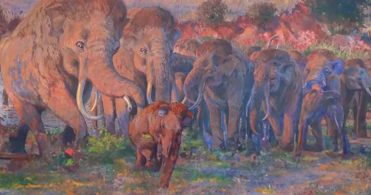 El descubrimiento de huesos milenarios que deslumbró a los historiadores El descubrimiento de huesos milenarios que deslumbró a los historiadores