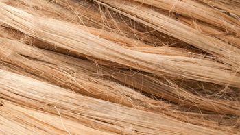 6 hábitos diarios que están dañando tu cabello 6 hábitos diarios que están dañando tu cabello
