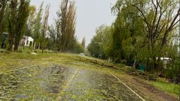 Así quedó la zona afectada por el granizo en San Rafael después de la tormenta.&nbsp;