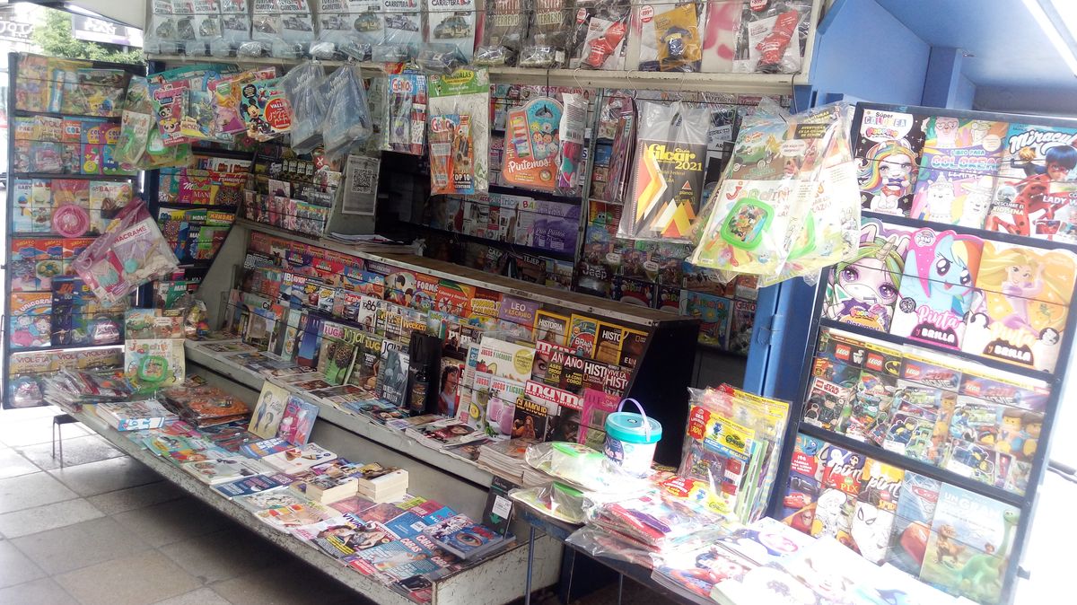 El gobierno nacional consideró que el régimen vigente de los canillitas es “obsoleto” e “innecesario”. El gobierno nacional consideró que el régimen vigente de los canillitas es “obsoleto” e “innecesario”.