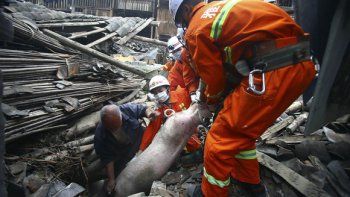 Dos terremotos en China y Japón causó por lo menos 4 muertos y decenas de heridos