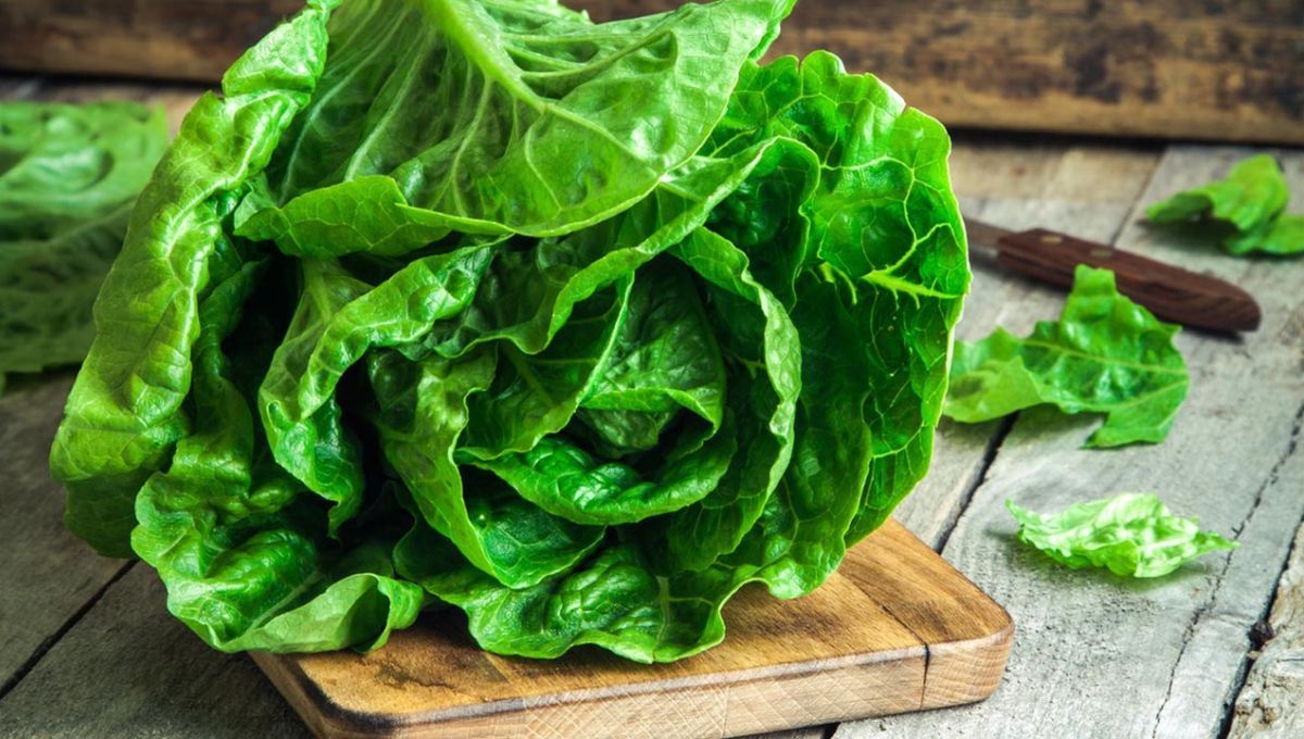 El truco definitivo de un chef para mantener la lechuga fresca durante más de 30 días,