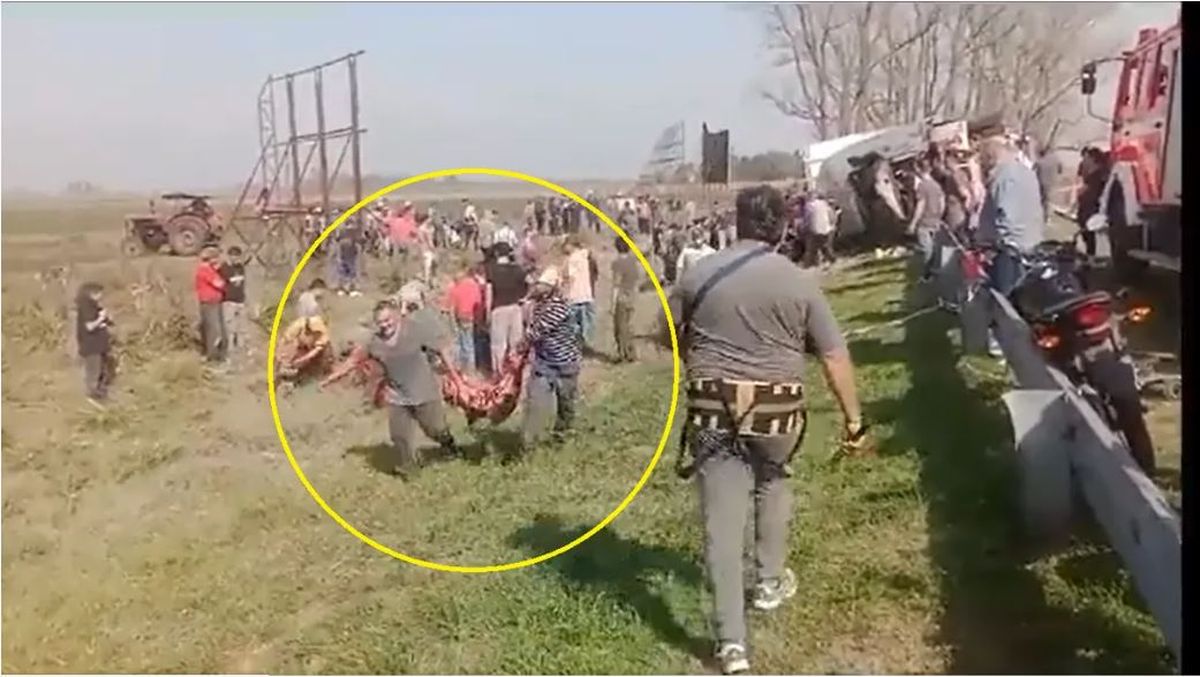 Las faenaron en el acto. Volcó un camión que con vacas y las faenaron en la ruta.