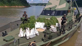 Descubrieron una gran plantación de marihuana en un predio del Ejército