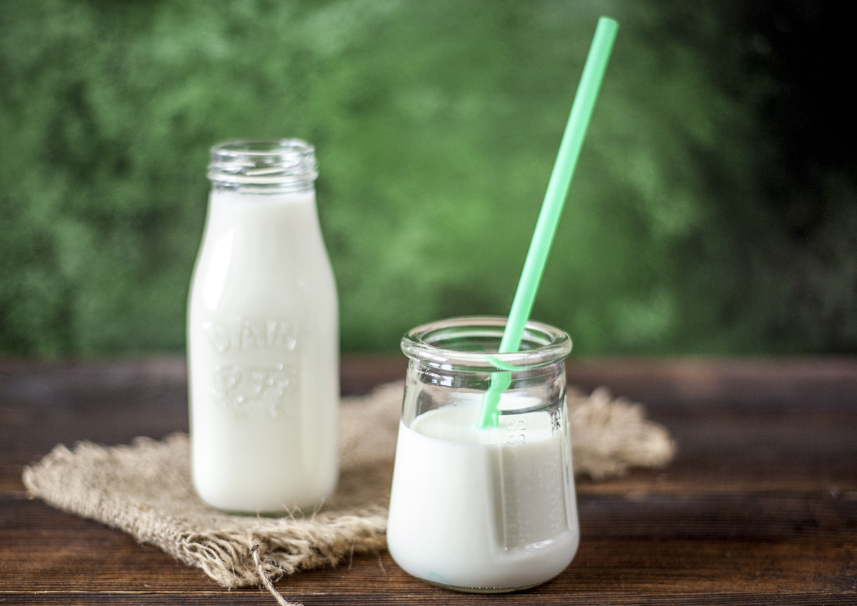 Luego de la etapa de crecimiento ¿qué tan necesaria es la leche para nuestro organismo?