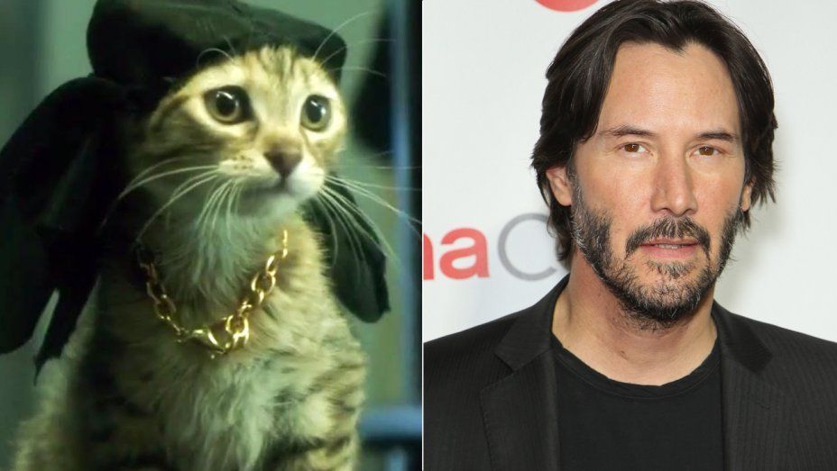 Keanu Reeves le prestará su voz a un gato