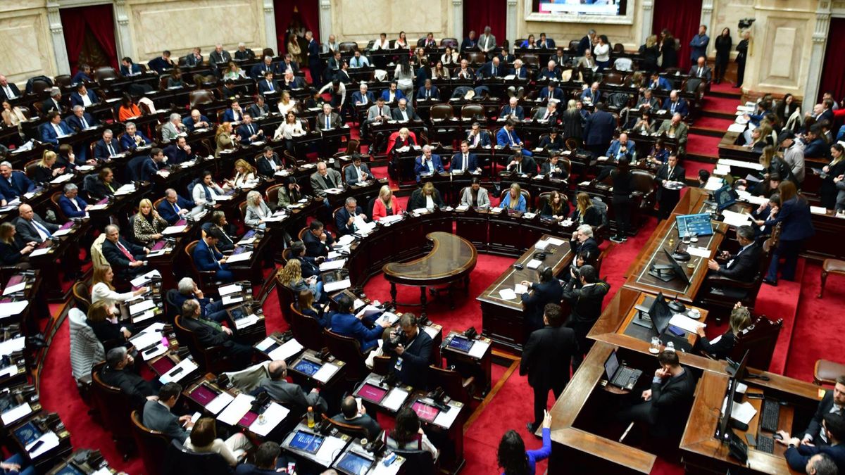 Debate en la Cámara de Diputados de la Nación. El veto al aumento de las jubilaciones quedó firme.