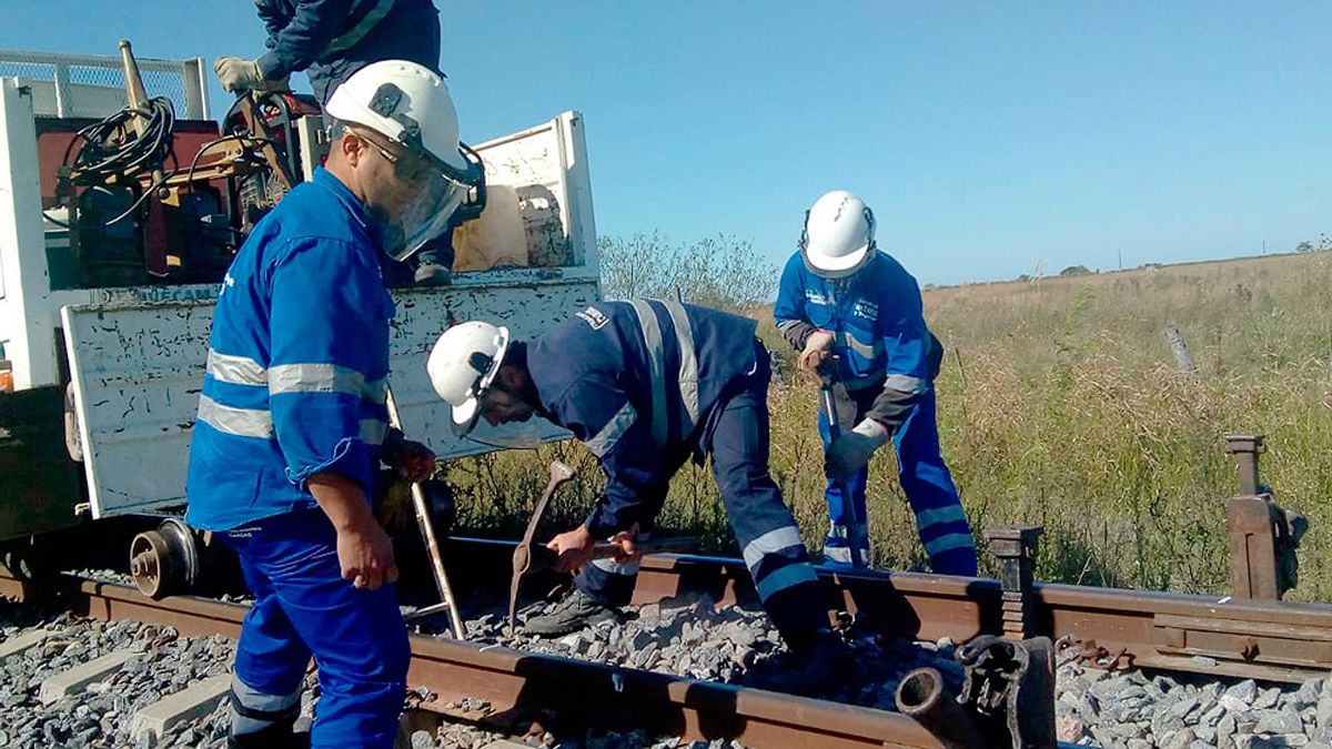Reactivan obras ferroviarias. El Belgrano Cargas opera en varias provincias del país.