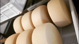 En Mendoza se elabora el queso de cabra de manera artesanal, acompañado por tecnología de punta, para lograr un producto de alta calidad.