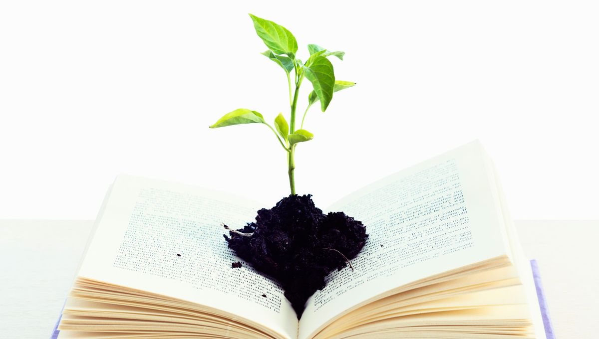 Anota en una agenda tus metas y objetivos diarios y acompáñalos con una palabra. Anota en una agenda tus metas y objetivos diarios y acompáñalos con una palabra.