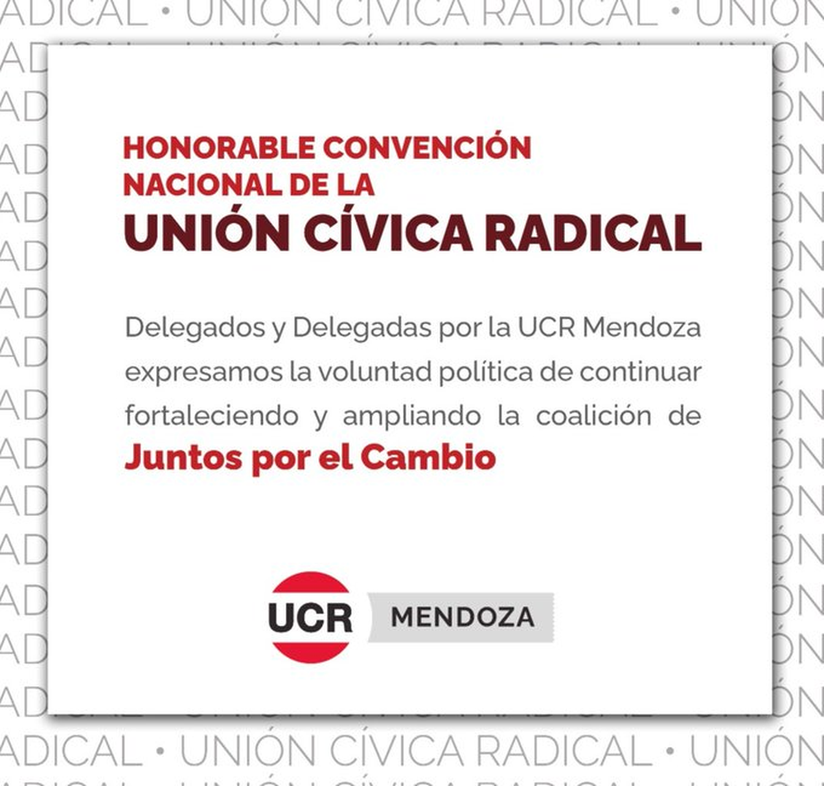 El comunicado de la UCR Mendoza antes de la Convención.
