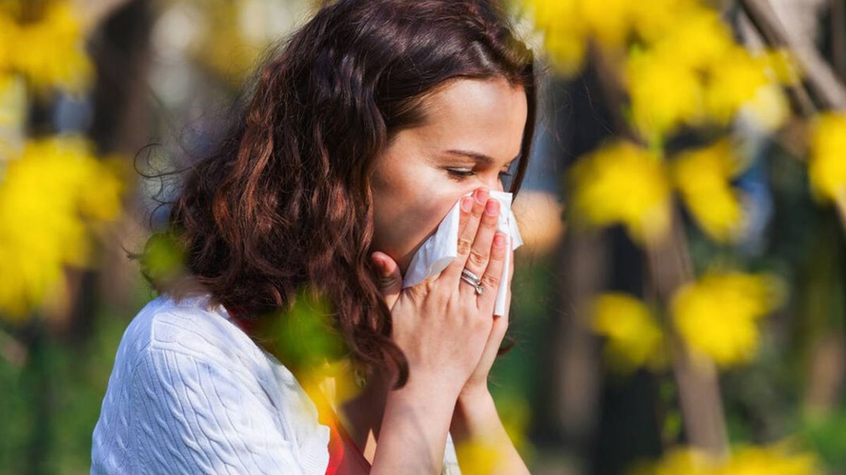 Dile adiós a los estornudos y a la alergia. Dile adiós a los estornudos y a la alergia.