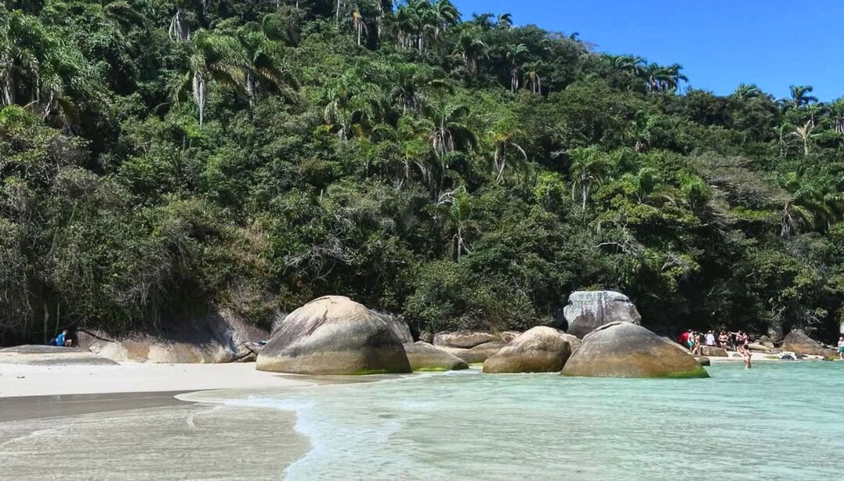 La isla de Campeche es un verdadero paraíso. La isla de Campeche es un verdadero paraíso. 