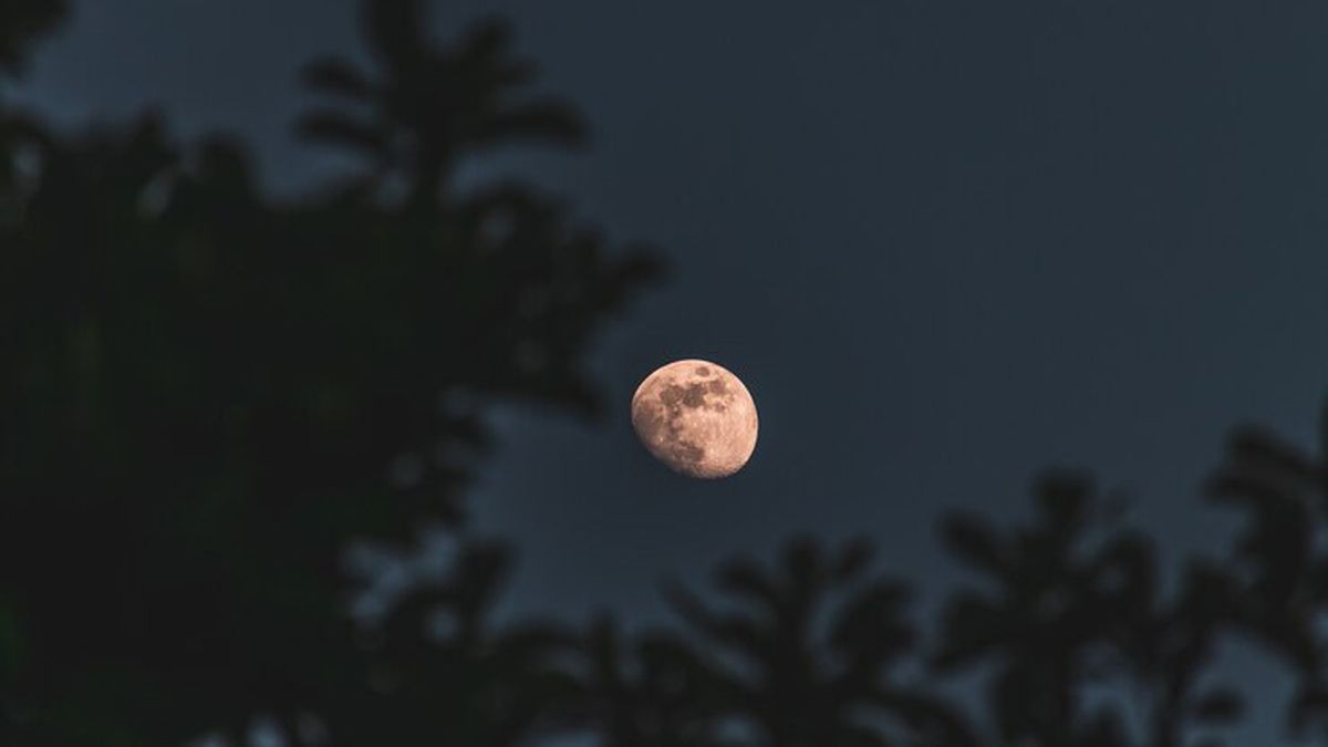 Luna llena de noviembre los tres signos que cambiarán su vida a partir