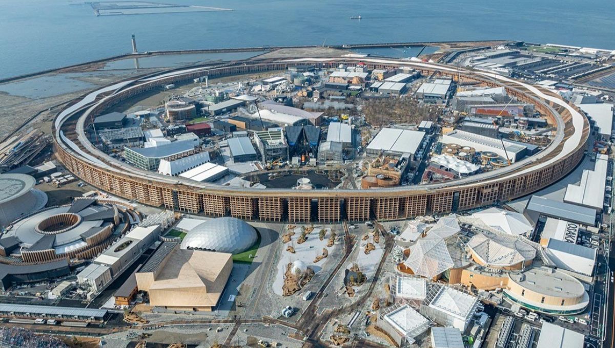 Construyen la estructura de madera más grande del mundo: una construcción de 61.000 m² de pura innovación