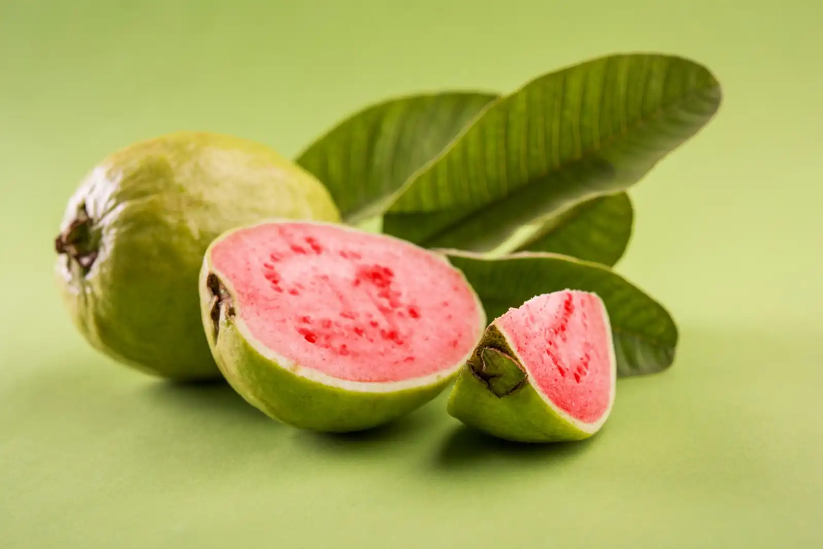 Es una planta que se da en áreas tropicales como Florida. Da unas frutas deliciosas para preparar comidas y además