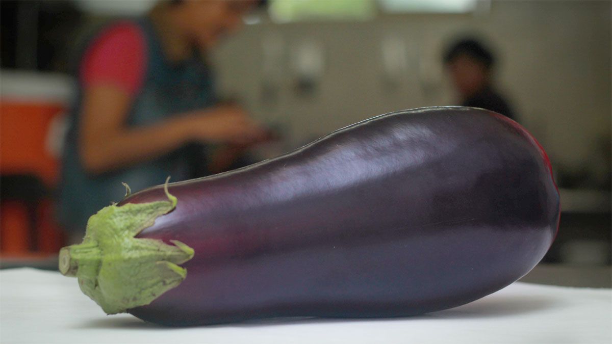 La berenjena le aporta muchos beneficios a la salud de las personas. La berenjena le aporta muchos beneficios a la salud de las personas.