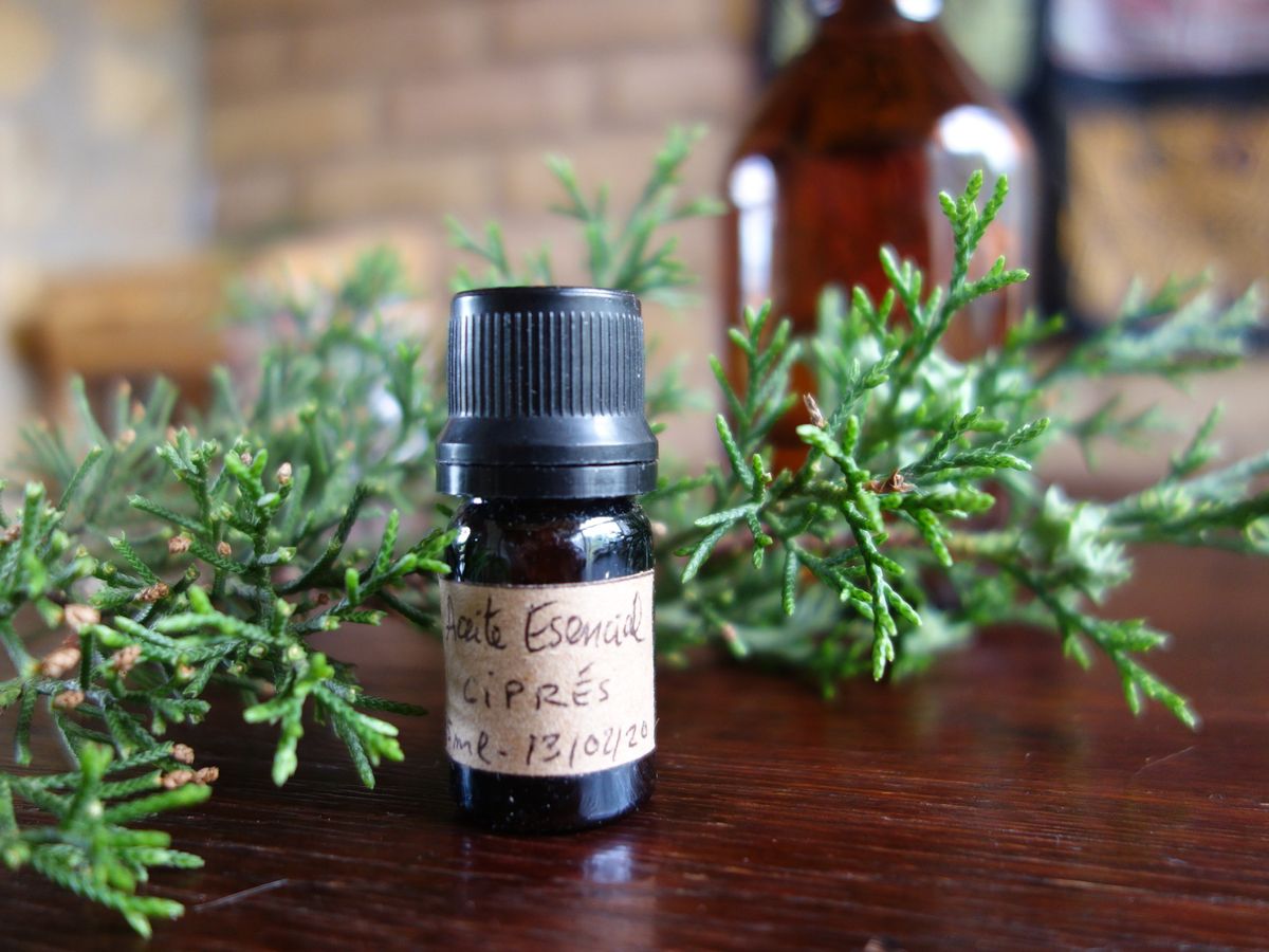 Dile adiós a las várices: el remedio natural que las oculta y mejora la circulación Dile adiós a las várices: el remedio natural que las oculta y mejora la circulación