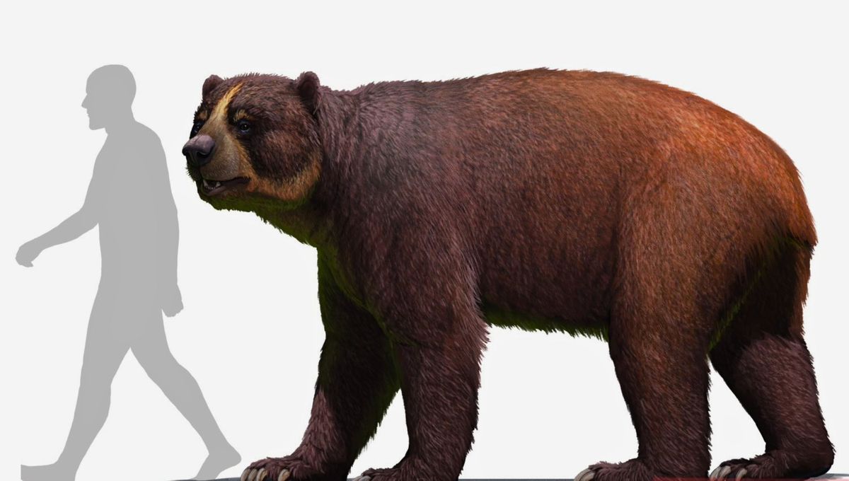 Tenían el peso de un auto grande y altura de un camión pequeño Tenían el peso de un auto grande y altura de un camión pequeño