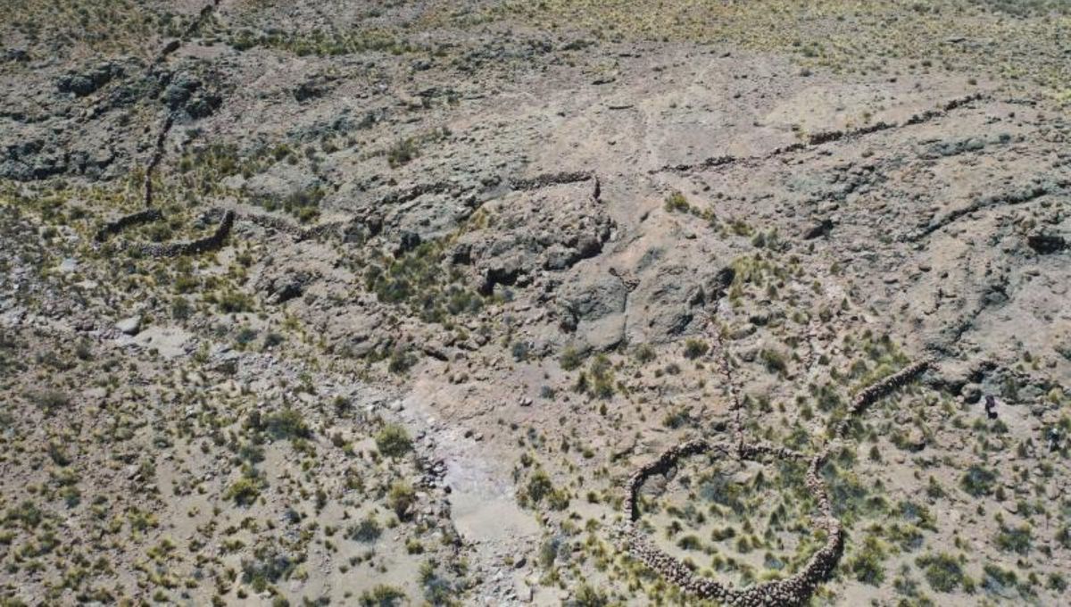 El descubrimiento en los Andes de Chile que revela un ingenioso sistema de caza