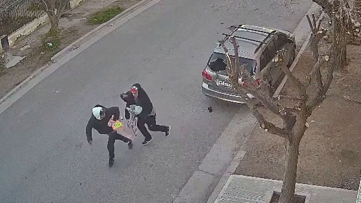 Los ladrones cometieron el robo con total impunidad y generaron mucho temor entre los vecinos del barrio de Neuquén.