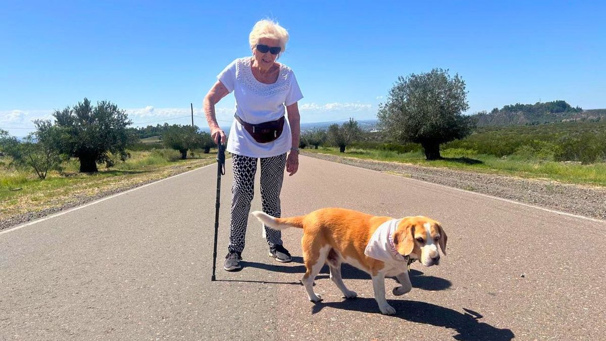 Alicia y su perro Pipo, paseando en su barrio. Tiene una fuerza y una lucidez que sorprenden. Alicia y su perro Pipo, paseando en su barrio. Tiene una fuerza y una lucidez que sorprenden.