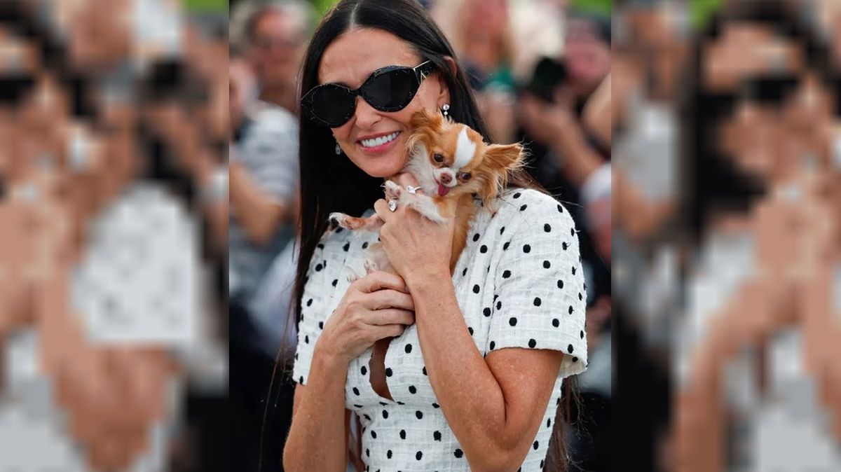 Un usuario de redes sociales comparó el estado de la mascota de Demo Moore con el actor, y recibió duras respuestas Un usuario de redes sociales comparó el estado de la mascota de Demo Moore con el actor, y recibió duras respuestas