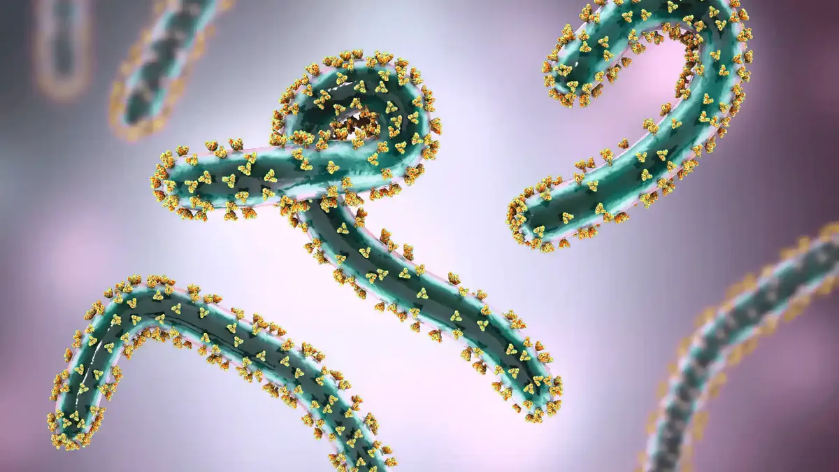 Este virus genera preocupación mundial tras un nuevo brote.