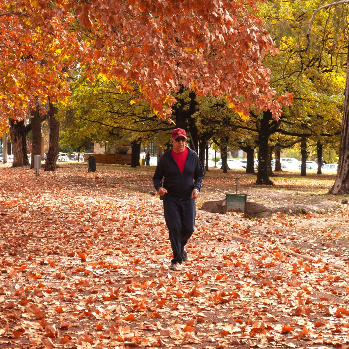 Este jueves estará caracterizado por una mañana muy fría y en algunos lugares habrá temperaturas bajo cero.