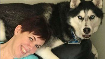 Una perra siberiana le salvó la vida a su dueña al detectarle cáncer de ovario