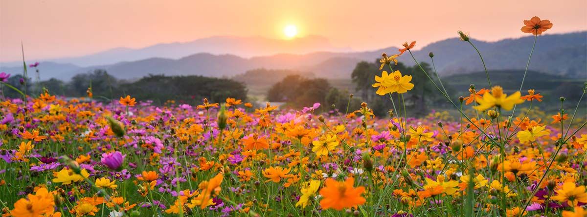 La situación amerita un monitoreo constante, dado que cada actualización de los modelos puede redefinir las zonas más comprometidas.