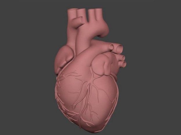 La impresión en 3D apunta al corazón