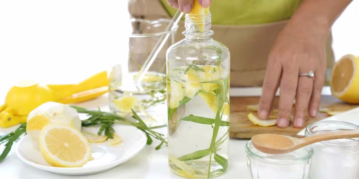 Mezcla cáscaras de limón con estos tres ingredientes para eliminar las plagas de tu hogar Mezcla cáscaras de limón con estos tres ingredientes para eliminar las plagas de tu hogar