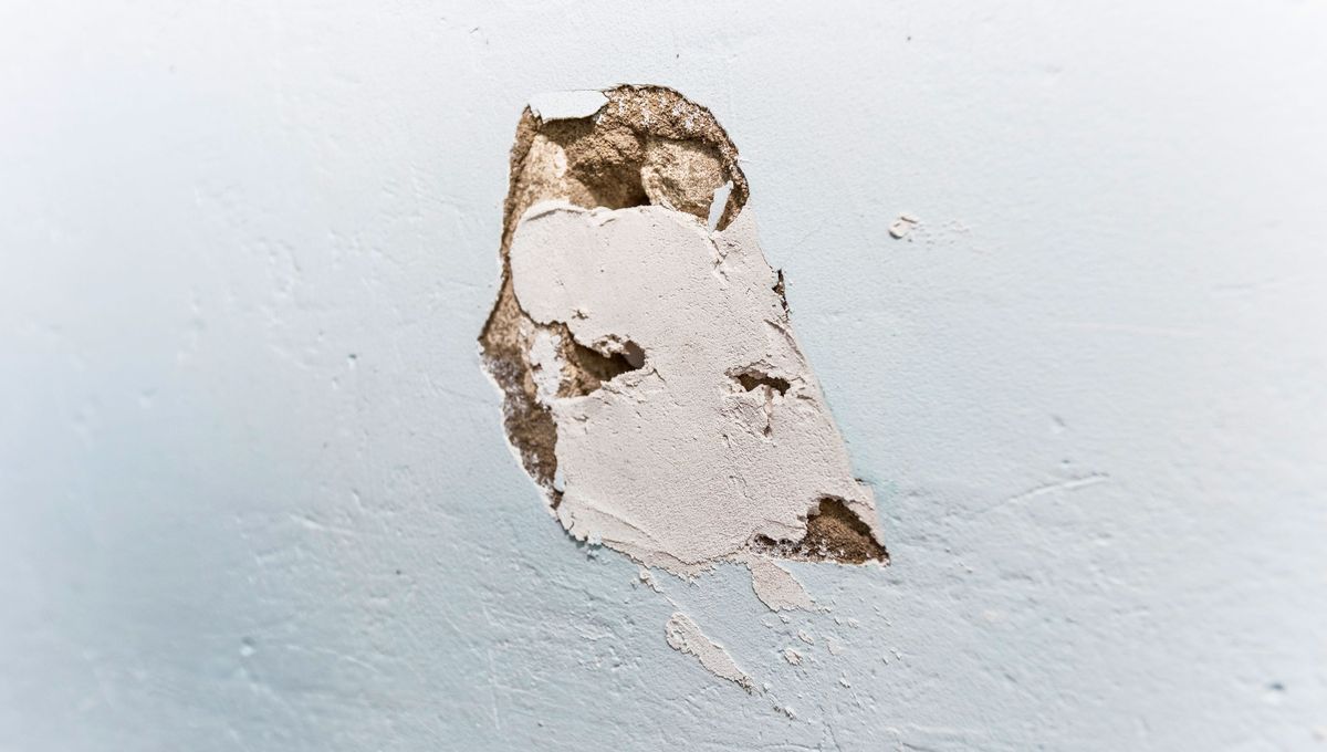 Este truco es para orificios pequeños. Si el daño es muy grande, lo mejor es llamar a un experto. Este truco es para orificios pequeños. Si el daño es muy grande, lo mejor es llamar a un experto. 