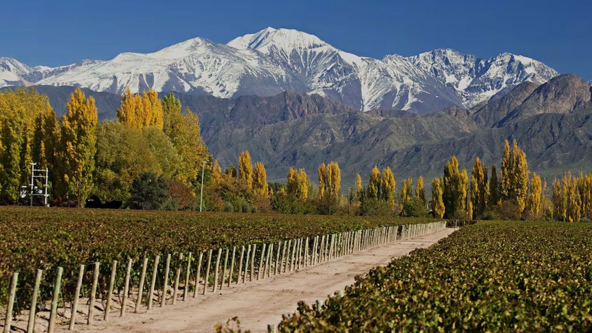 El sol de otoño en Mendoza es el plan perfecto para aprovechar el próximo feriado que se avecina.