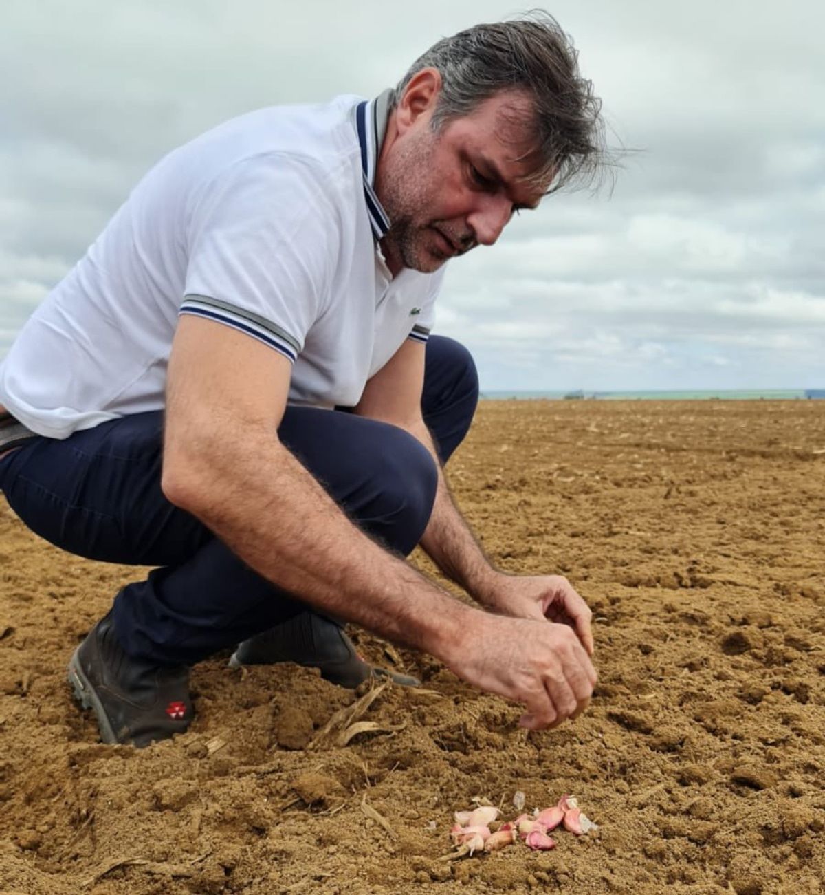 Un especialista. Además de dirigir la asociación de productores de ajo del país vecino, Corsino es presidente de la Câmara Setorial de Hortaliças (MAPA) y titular de ANACE, que nuclea a quienes cultivan cebolla en Brasil.