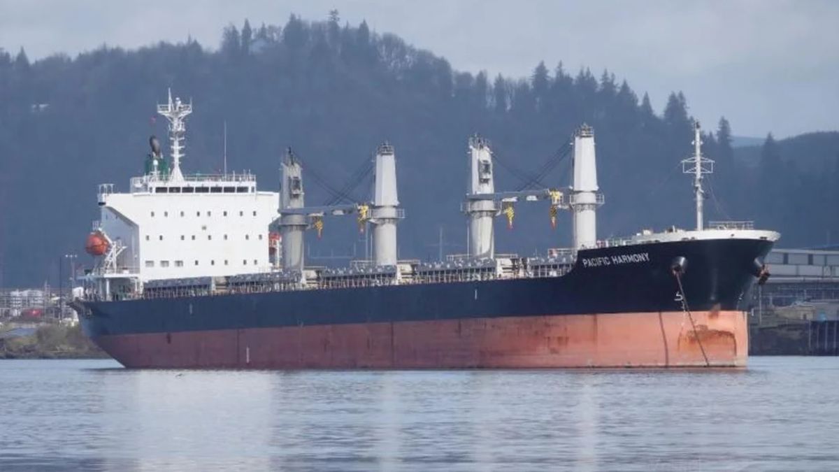 El buque de bandera de Liberia con tripulantes con posibles síntomas de viruela del mono provocó alarma en Rosario El buque de bandera de Liberia con tripulantes con posibles síntomas de viruela del mono provocó alarma en Rosario