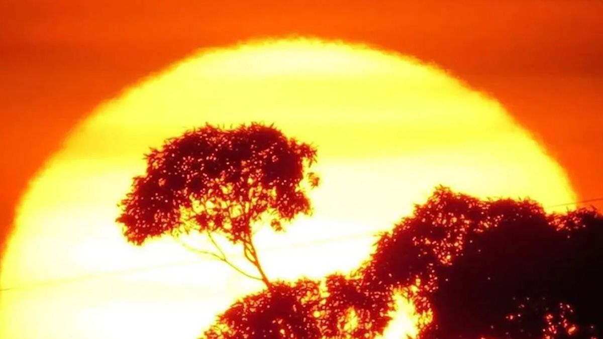 Según el estudio de científicos europeos, los pronósticos indican que 2024 será el año más caluroso registrado Según el estudio de científicos europeos, los pronósticos indican que 2024 será el año más caluroso registrado