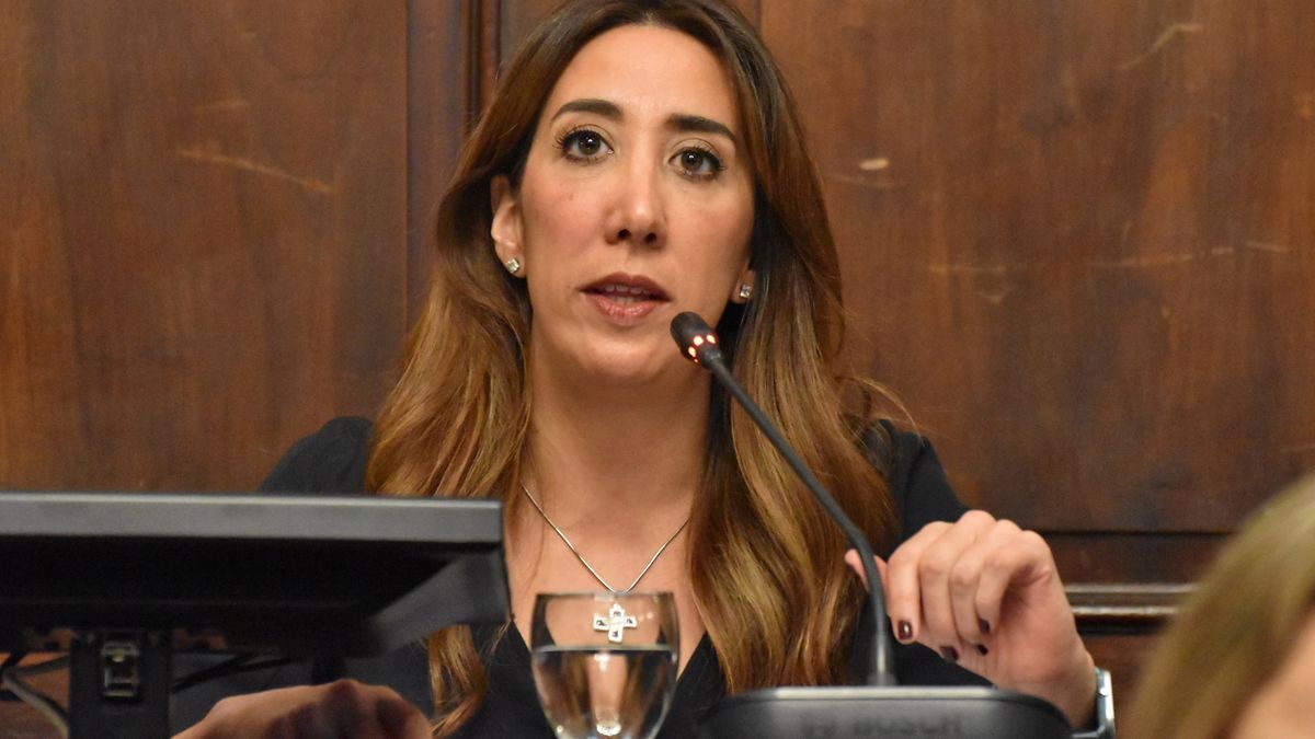 La radical Melisa Malanca fue quien defendió el proyecto que buscar darle al IPV más herramientas para desadjudicar casas. La radical Melisa Malanca fue quien defendió el proyecto que buscar darle al IPV más herramientas para desadjudicar casas.