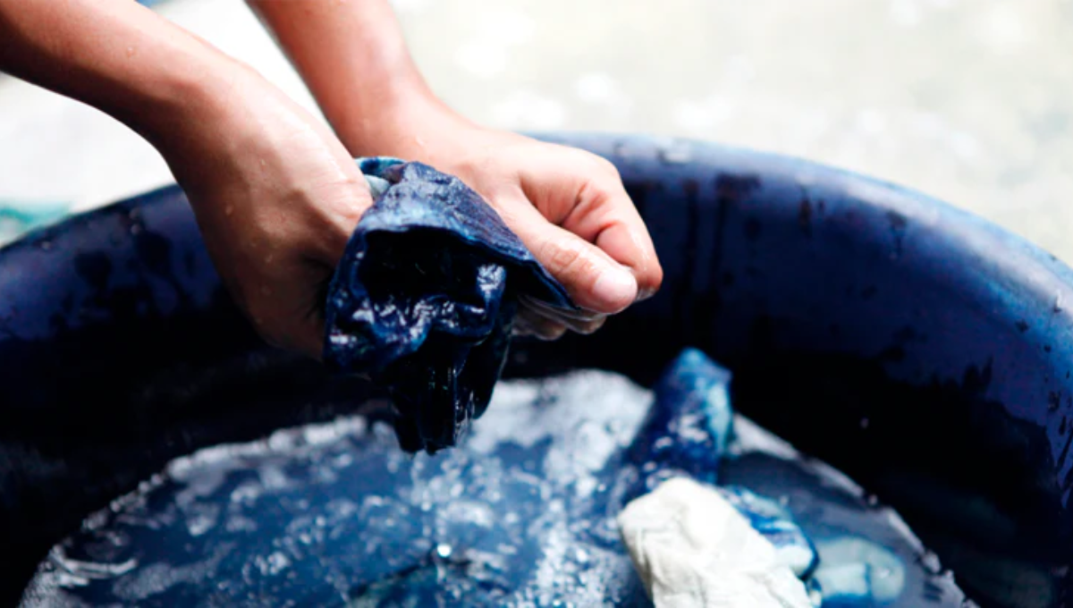 Toma nota del mejor truco para darle nueva vida a tu ropa vieja. Toma nota del mejor truco para darle nueva vida a tu ropa vieja.