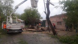 Una fuerte tormenta derribó árboles y afectó el tendido eléctrico en Cuadro Nacional