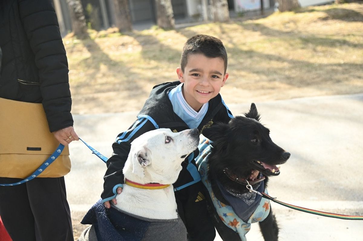 Los perros deben pasear con correa y junto a sus tenedores responsables, de acuerdo a la ordenanza municipal. Los perros deben pasear con correa y junto a sus tenedores responsables, de acuerdo a la ordenanza municipal.