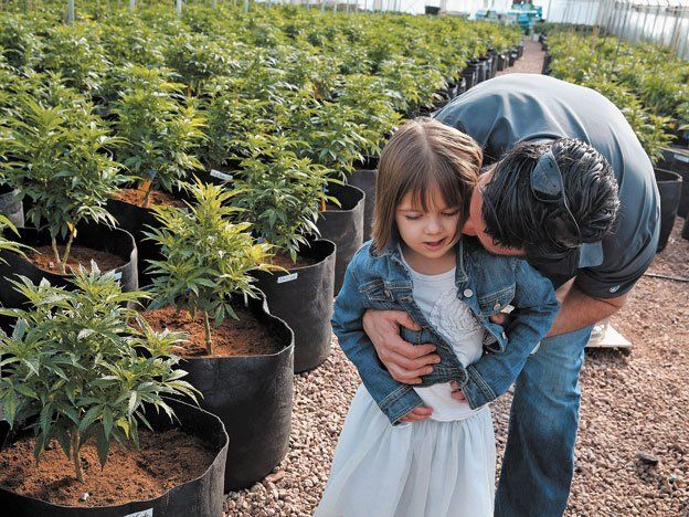 Usan la marihuana contra las convulsiones
