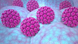 La vacuna contra el Virus del Papiloma Humano es gratuita en Argentina y se aplica a los 11 años para proteger a chicos y chicas antes del inicio sexual.