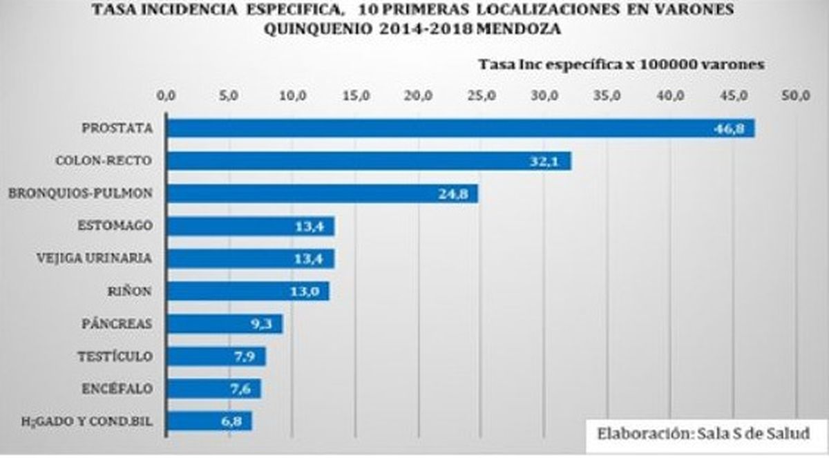 La incidencia de los distintos tipos de cáncer entre los hombres de Mendoza. La incidencia de los distintos tipos de cáncer entre los hombres de Mendoza. 